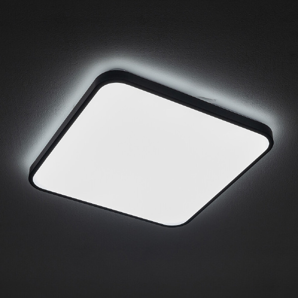 Светильник потолочный Agnes Square Led Pro 10986