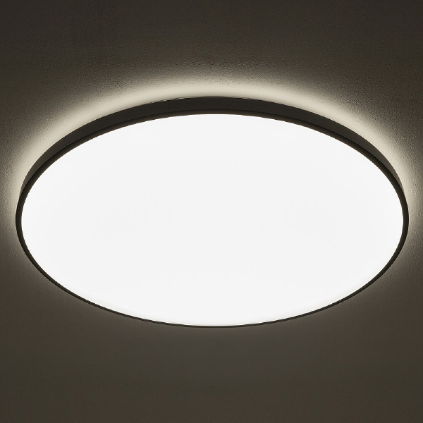 Светильник потолочный Agnes Round Led Pro 10975