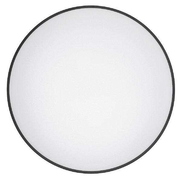 Светильник потолочный Agnes Round Led Pro 10975