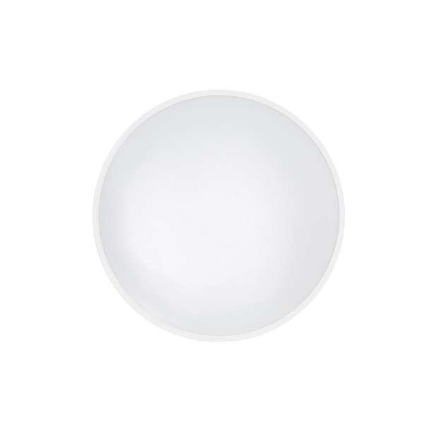 Светильник потолочный Agnes Round Led Pro 10978