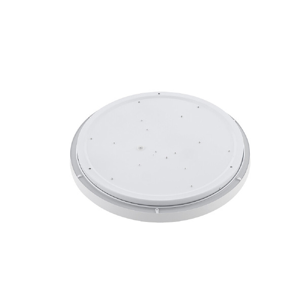 Светильник потолочный Agnes Round Led Pro 10977
