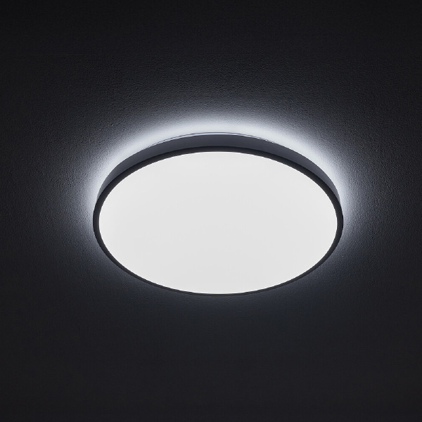 Светильник потолочный Agnes Round Led Pro 10977