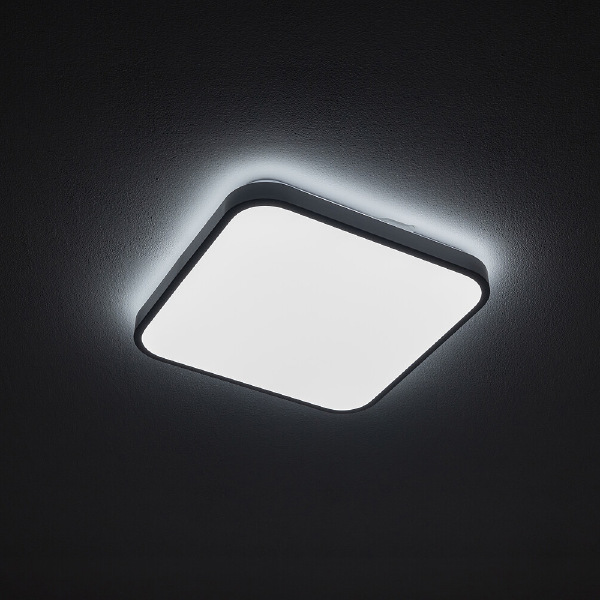 Светильник потолочный Agnes Square Led Pro 10990