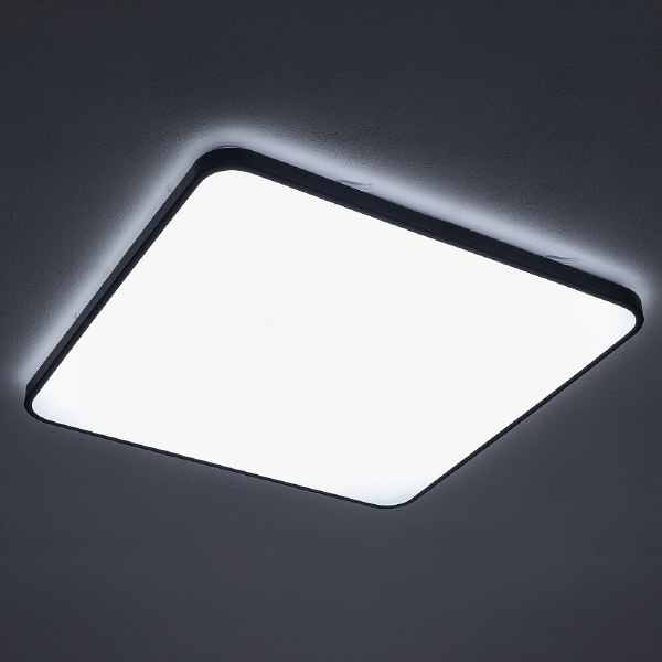 Светильник потолочный Agnes Square Led Pro 10988