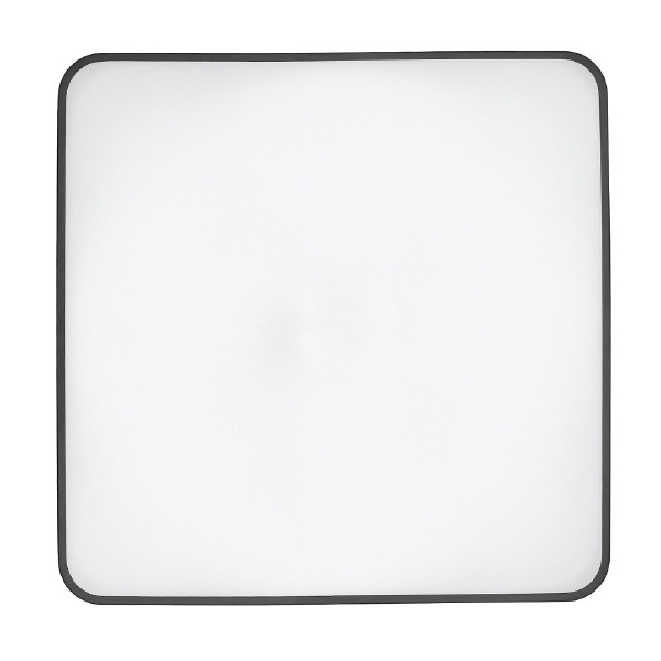 Светильник потолочный Agnes Square Led Pro 10988