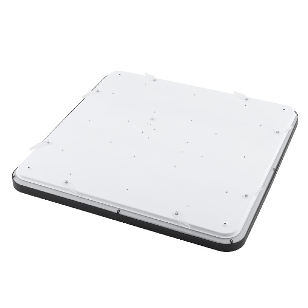 Светильник потолочный Agnes Square Led Pro 10988