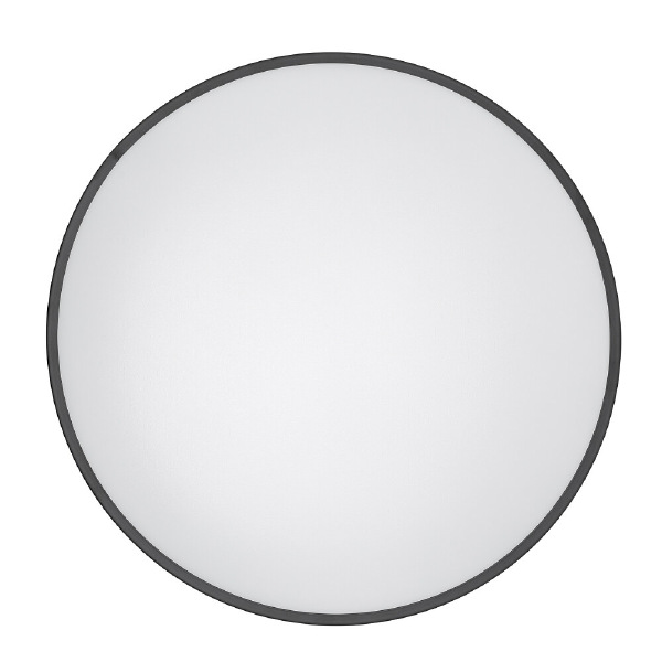 Светильник потолочный Agnes Round Led Pro 10973