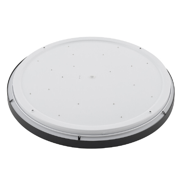 Светильник потолочный Agnes Round Led Pro 10973