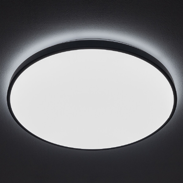 Светильник потолочный Agnes Round Led Pro 10973