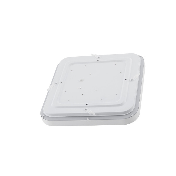 Светильник потолочный Agnes Square Led Pro 10989