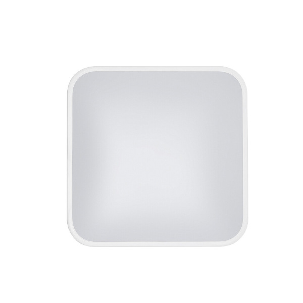 Светильник потолочный Agnes Square Led Pro 10989