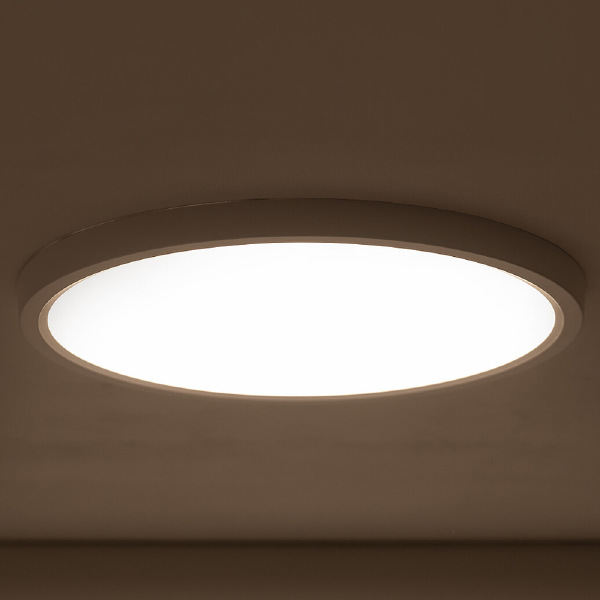 Светильник потолочный Multi Led L 11358