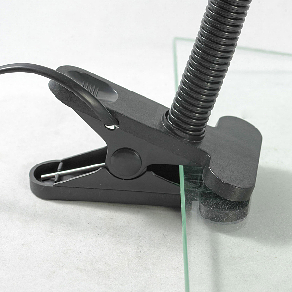 Настольная лампа Sofia LST-4924-01