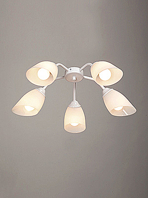 Потолочная люстра Vitaluce V31950/5PL