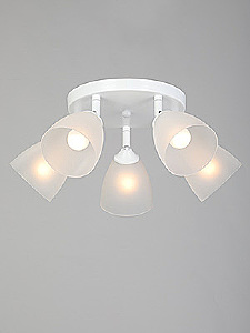 Потолочная люстра Vitaluce V4355-0/5PL