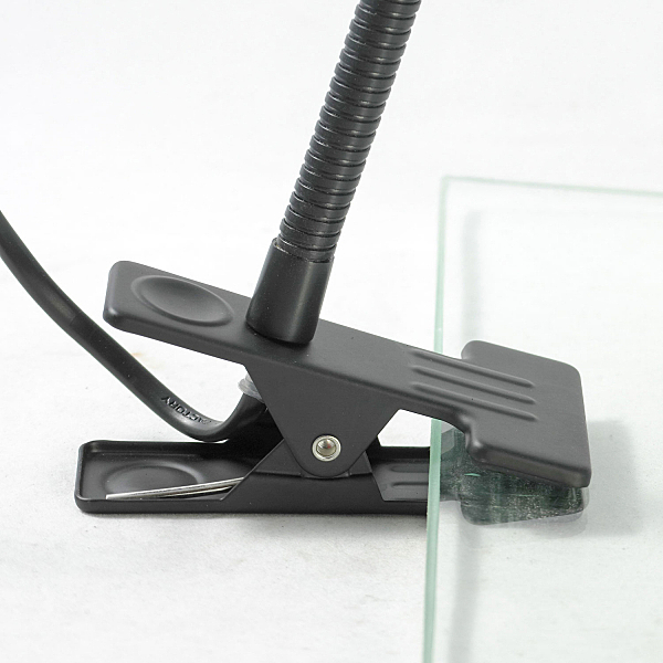 Настольная лампа Roma LST-4214-01