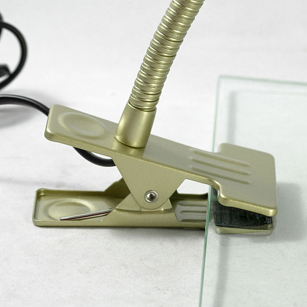 Настольная лампа Roma LST-4274-01