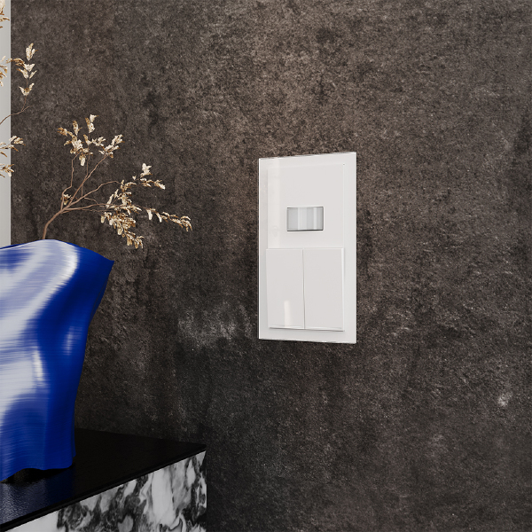 Рамка S70 VLS110201