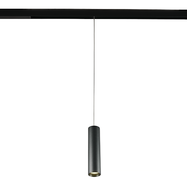 Трековый светильник Ray MT0221-20W3K-S-B