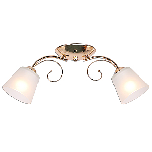 Потолочная люстра IMEX MD.0361-2-S FGD