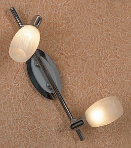 Светильник спот Lissone LSL-8301-02