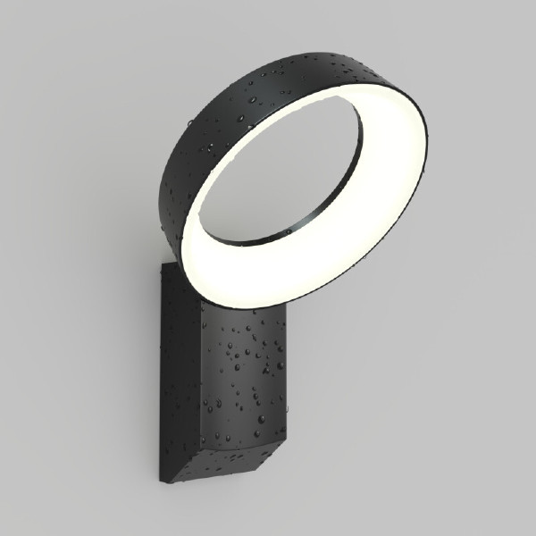 Уличный настенный светильник Sanvik DK9712-BK