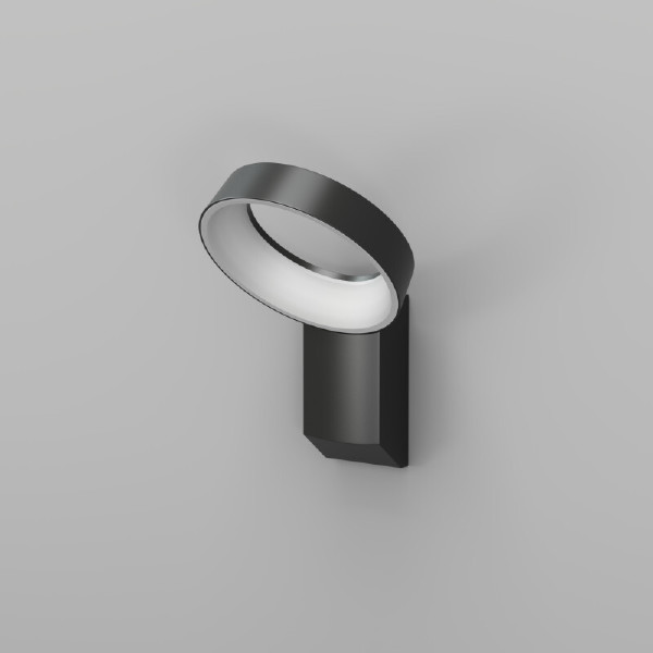 Уличный настенный светильник Sanvik DK9712-BK