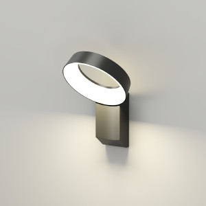 Уличный настенный светильник Sanvik DK9712-BK