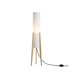 Торшер Bliss FR5543FL-01T