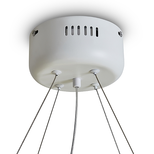 Подвесная люстра Rain FR5546PL-L60W