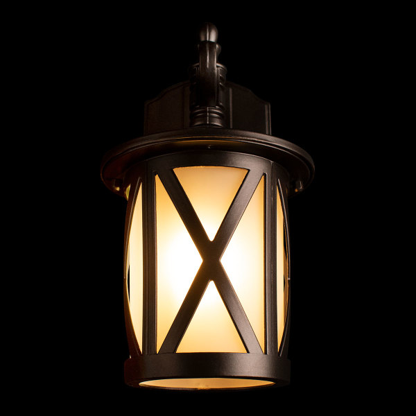 Уличный настенный светильник Ravenna 100016W