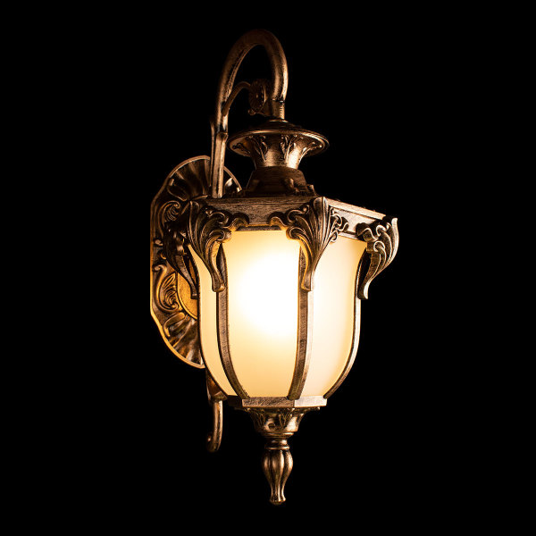 Уличный настенный светильник Alessano 100017W