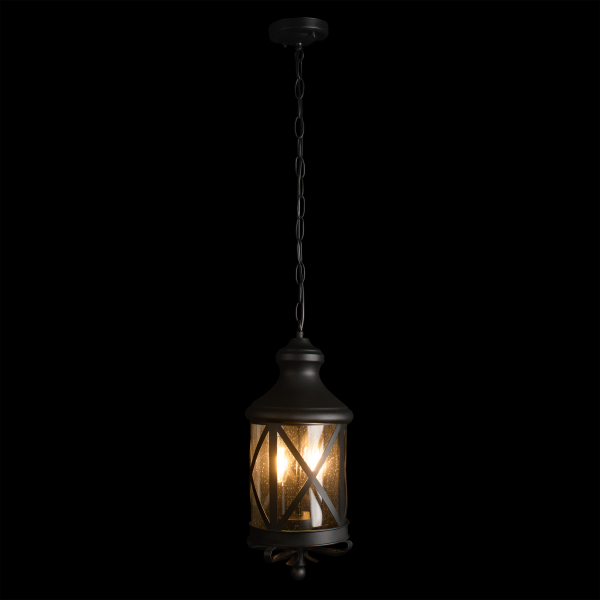 Уличный подвесной светильник Ferrara 100020P