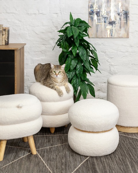 Пуфик Холли 21B810SJ-3B-HY-3