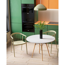 Кухонный стол DSW T001-100