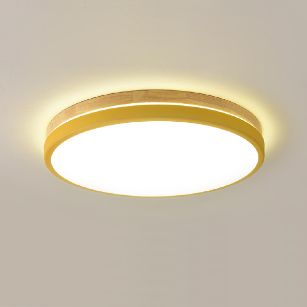 Светильник потолочный Disc-Dh01 189900-26