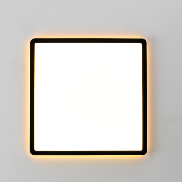 Светильник потолочный Norma CL749K301