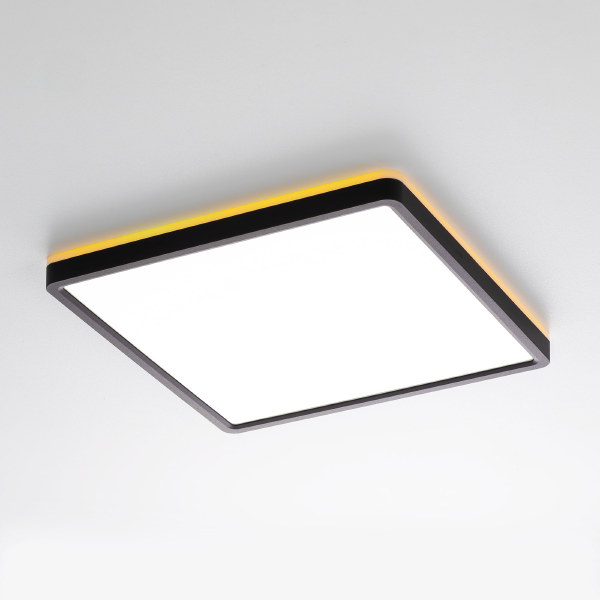 Светильник потолочный Norma CL749K301