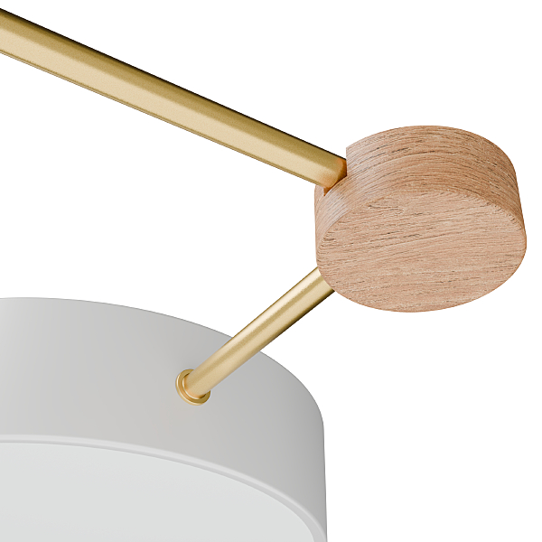 Потолочная люстра Tizzo LE239PL-3WG