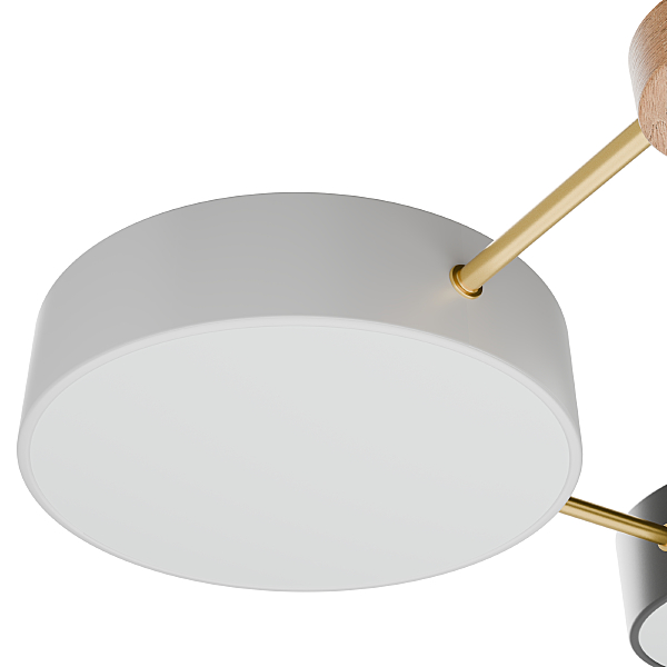 Потолочная люстра Tizzo LE239PL-3WG