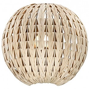 Бра Odeon Light Keni 2492/1W