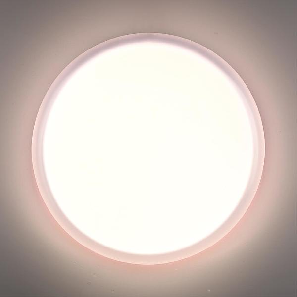 Настенно потолочный светильник Jolly 7776/ELN