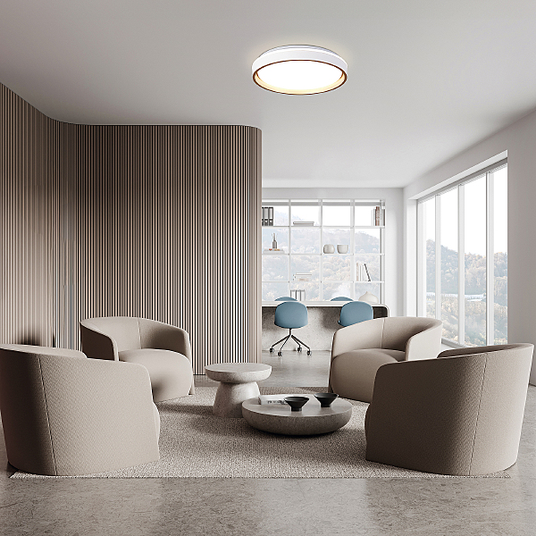 Светильник потолочный Verona 9028