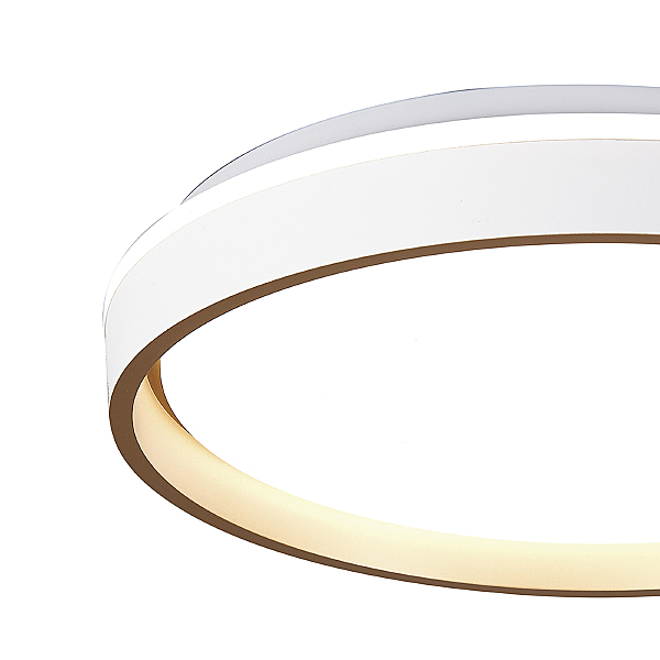 Светильник потолочный Verona 9028