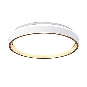 Светильник потолочный Verona 9028