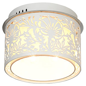 Светильник потолочный Vetere LSF-2307-04