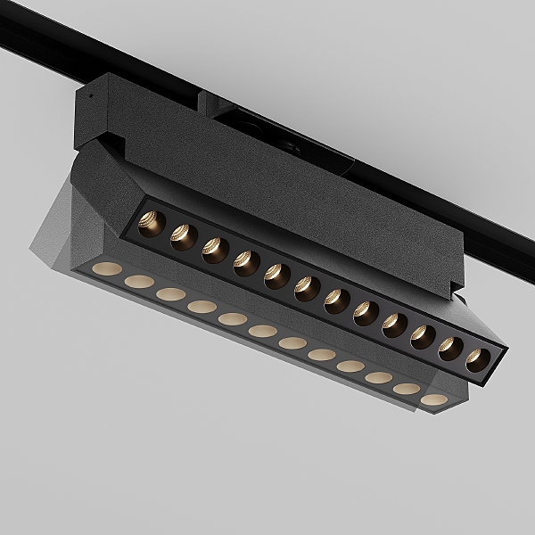 Трековый светильник Points Rot TR224-1-12WCCT-M-B