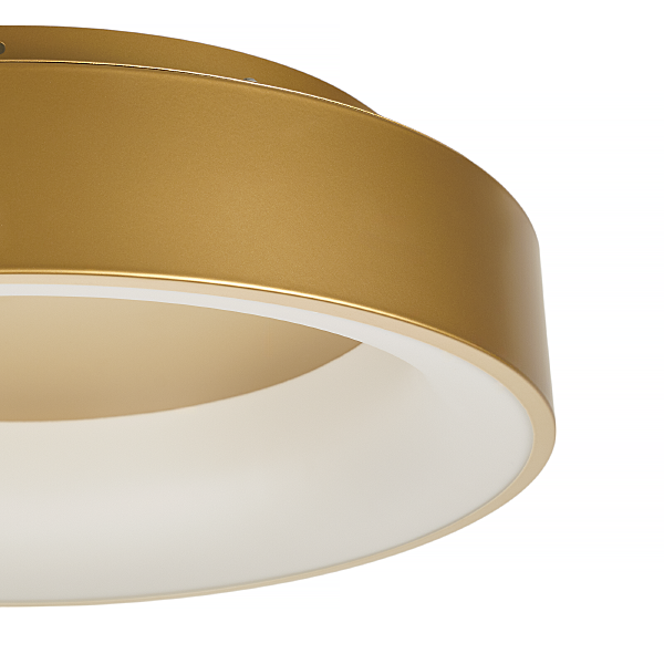 Светильник потолочный Shannon MR2195-1PL