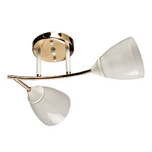 Потолочная люстра Восторг 242017802