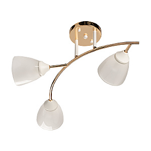 Потолочная люстра Восторг 242017903